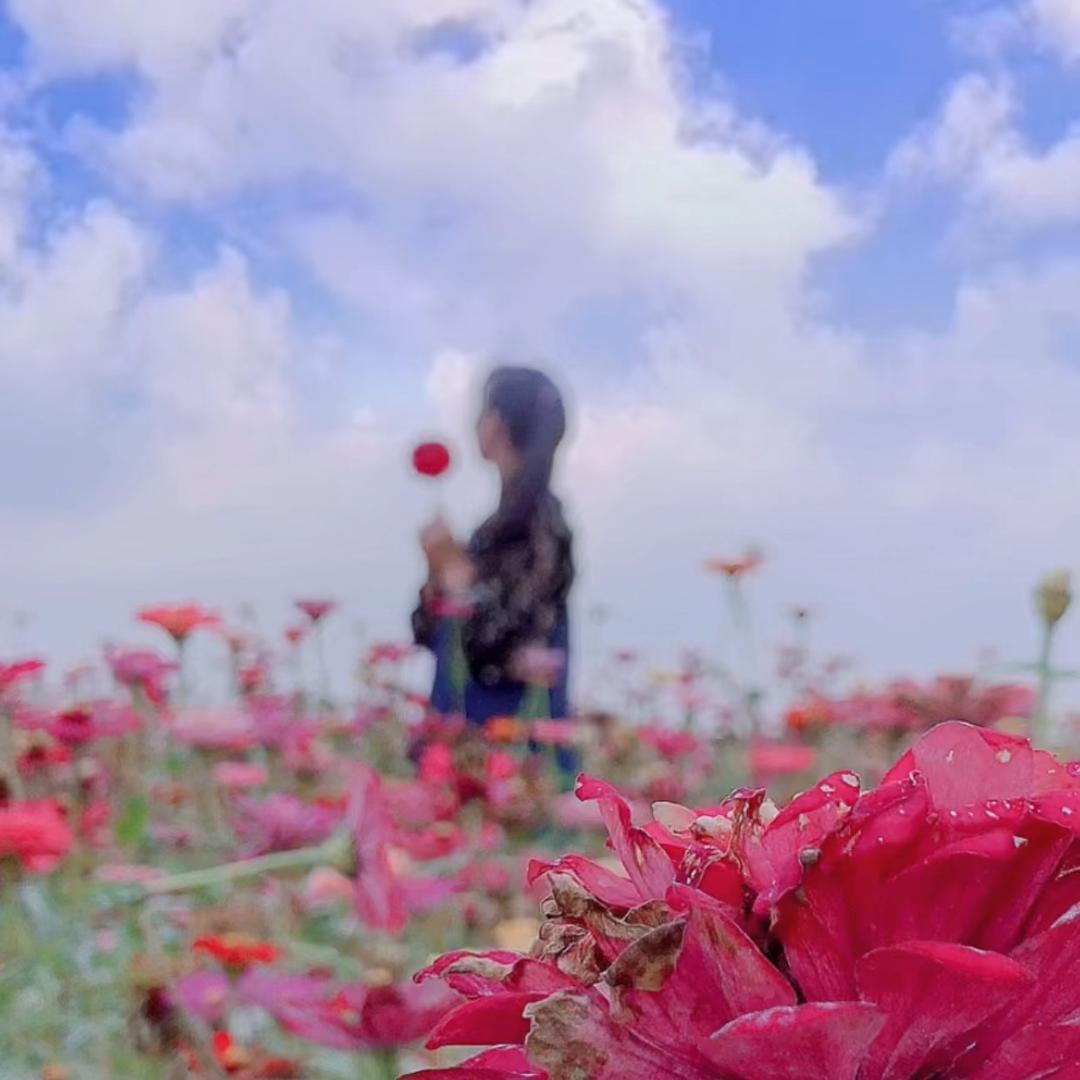 三月清茶