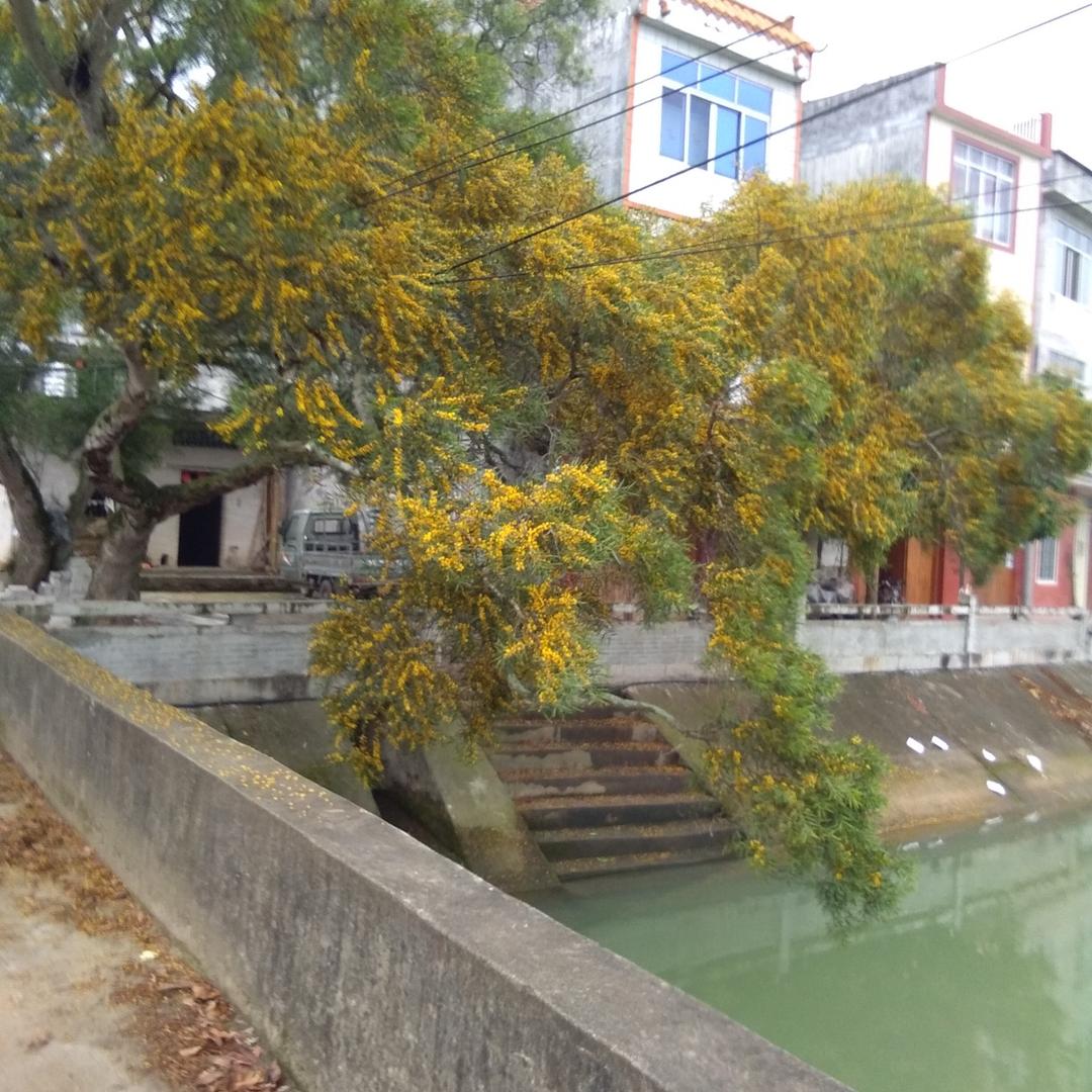我在家