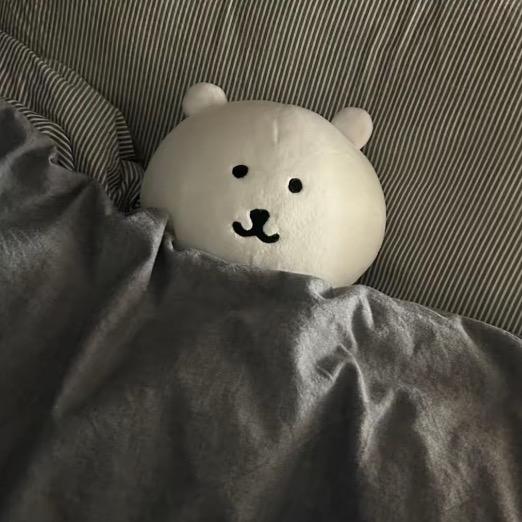 笨蛋小辰
