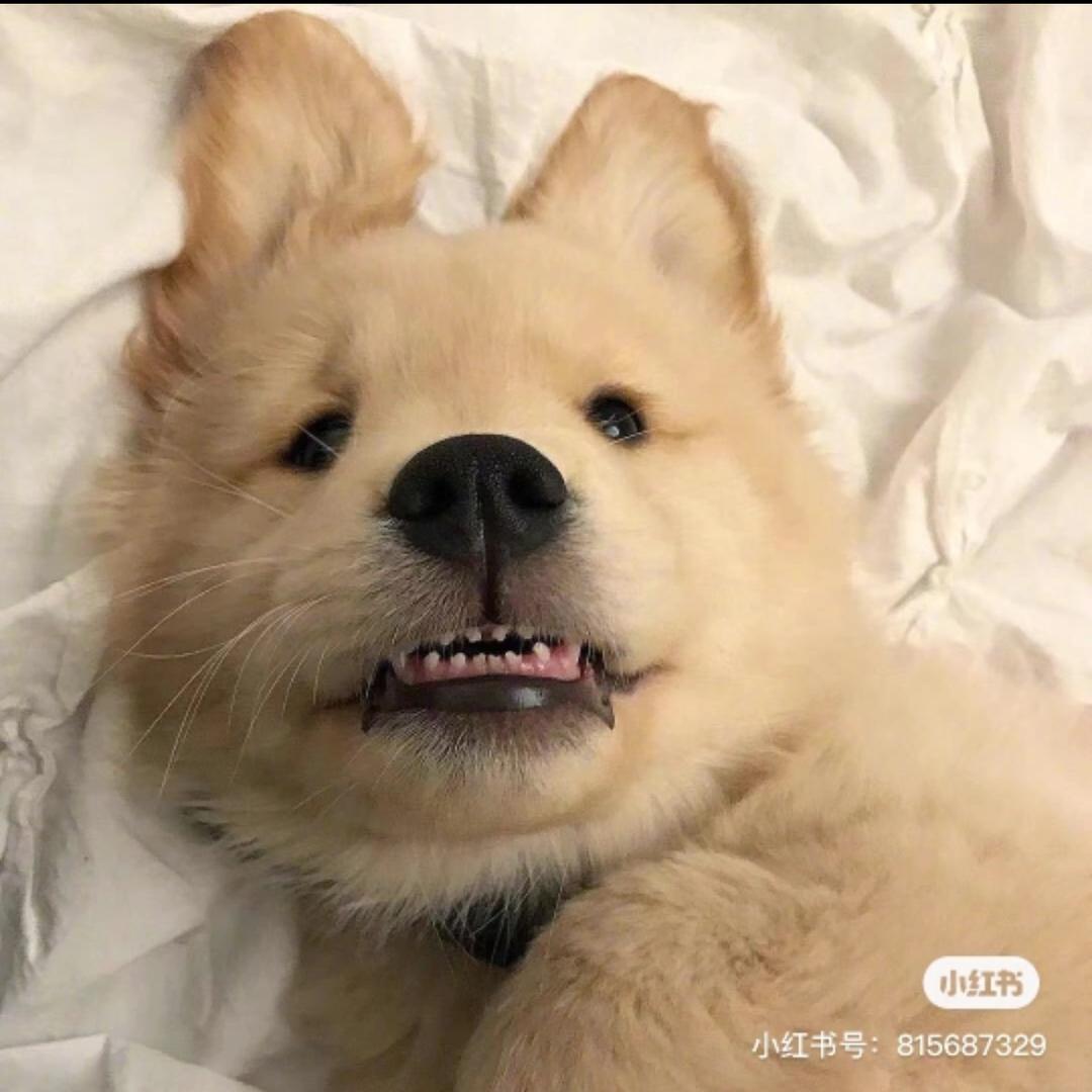 Lu