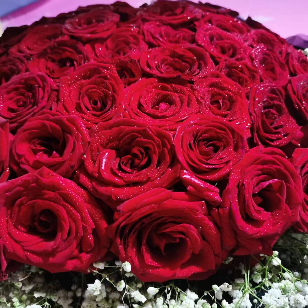 不要打扰我的生活