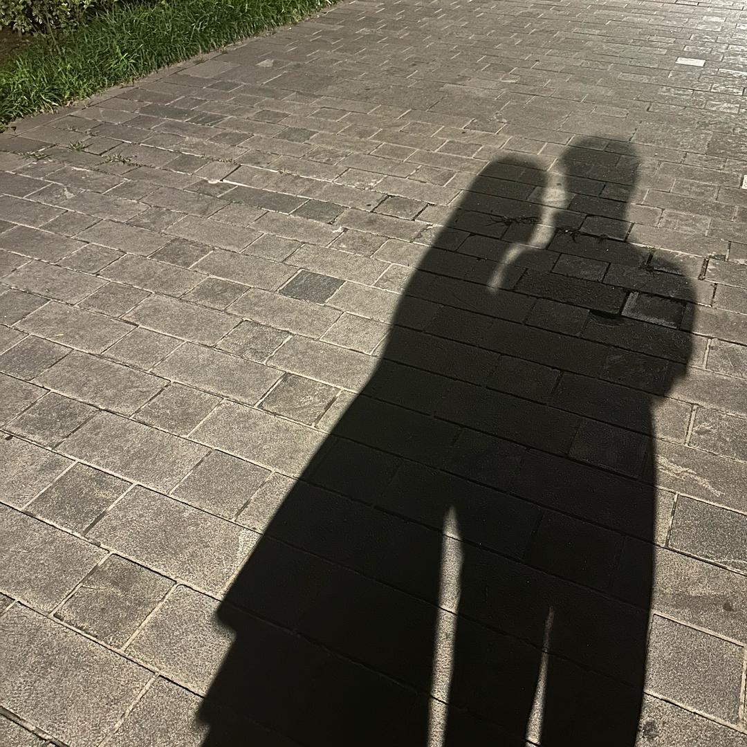 一心向上的小赵