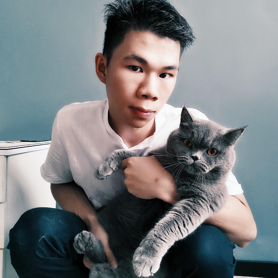 猫咪心事