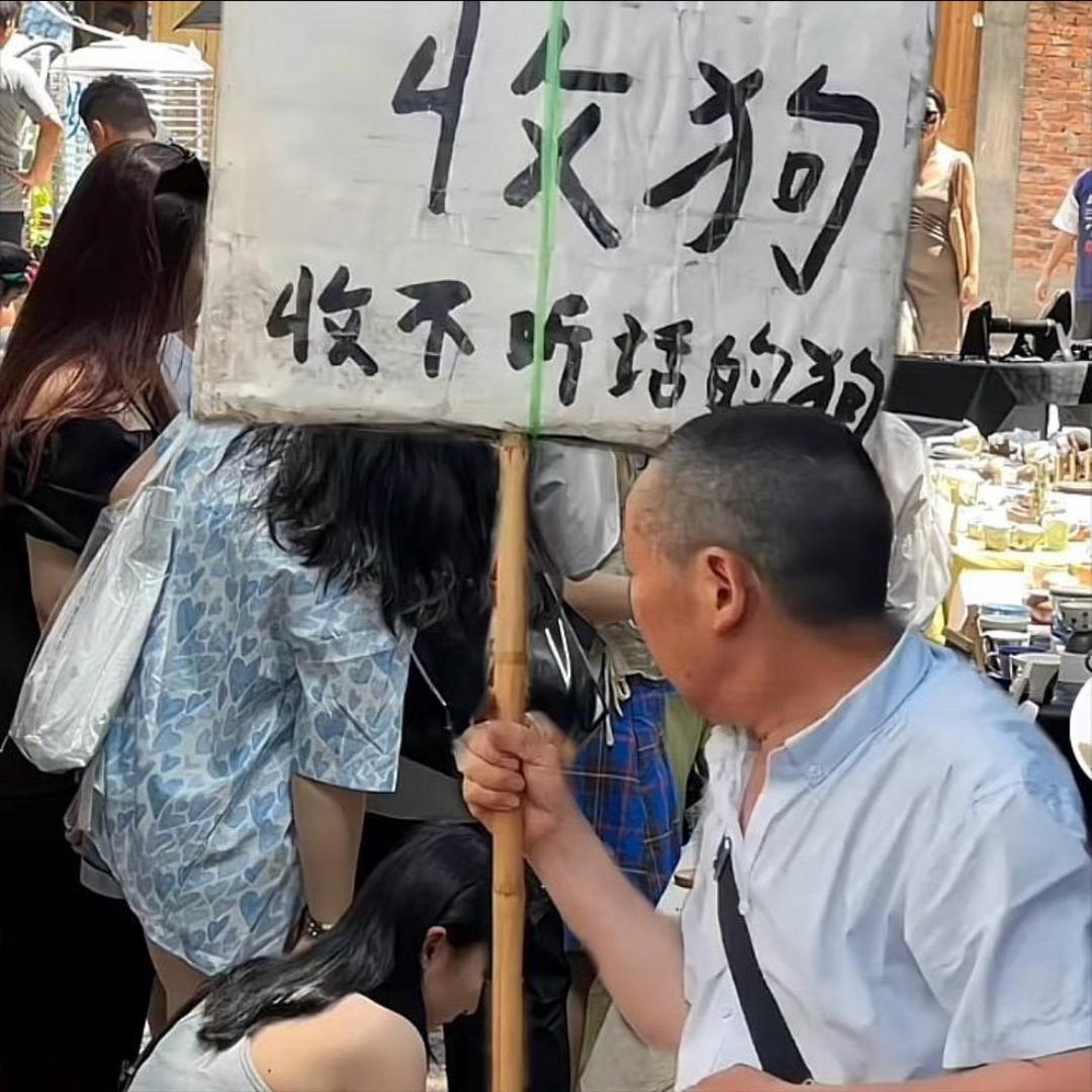 终是得鹿梦鱼