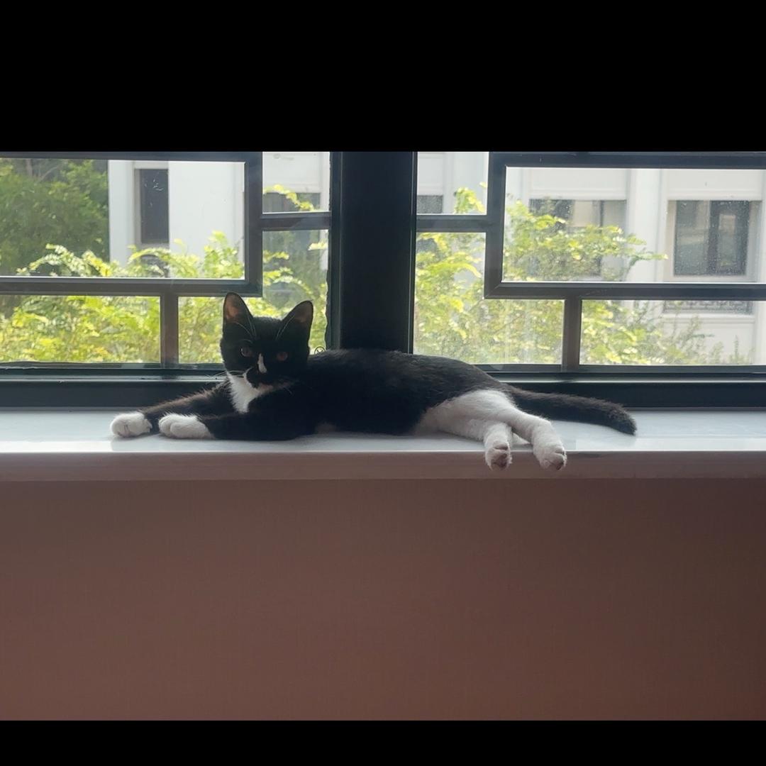 我❤️夏天