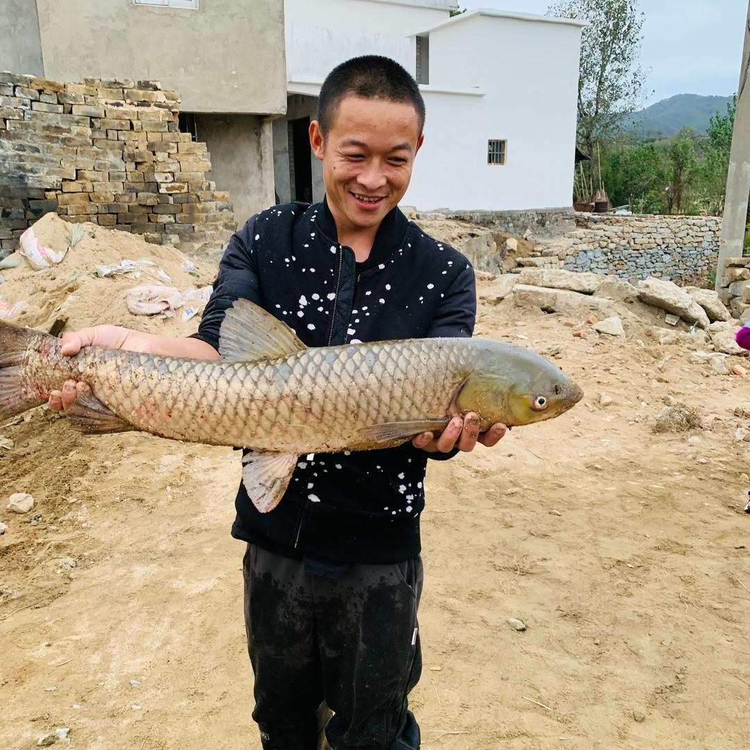 渔乐垂钓园-陈家乐