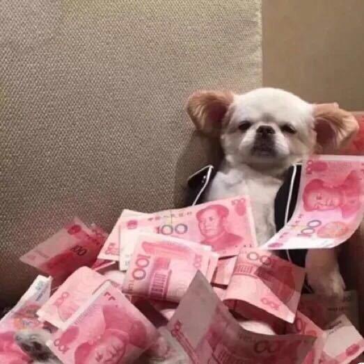 小赖.