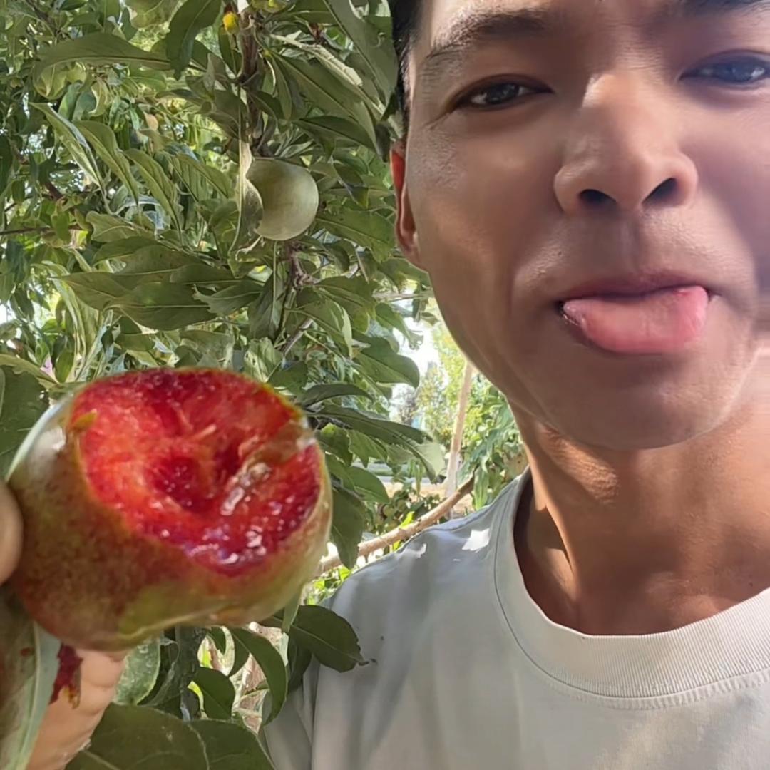 新疆水果小王