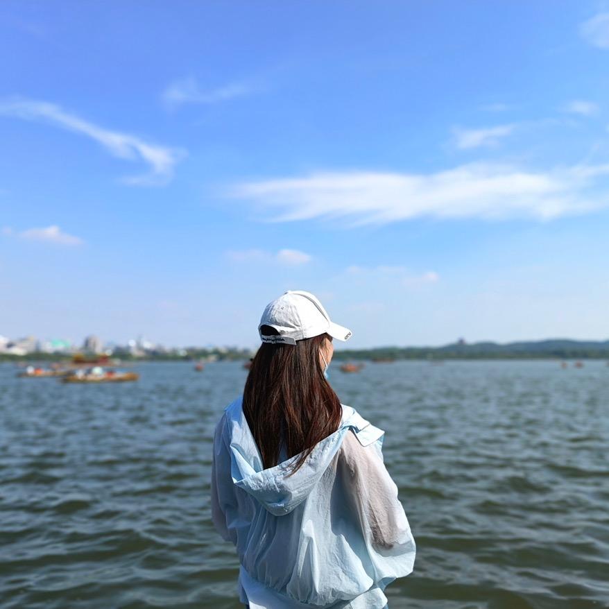 梦芝