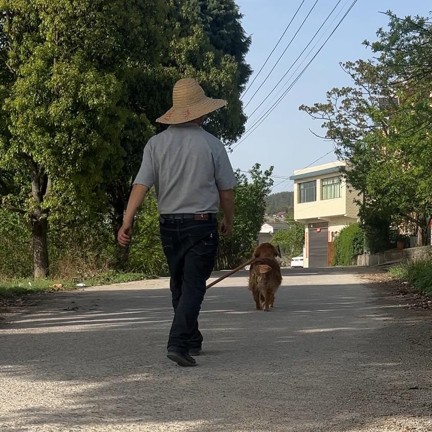 韦寨梨园砂锅土鸡