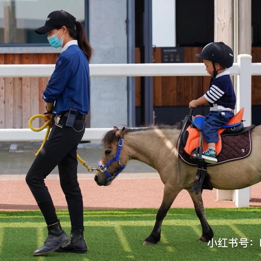 养萌宠的鲁老二