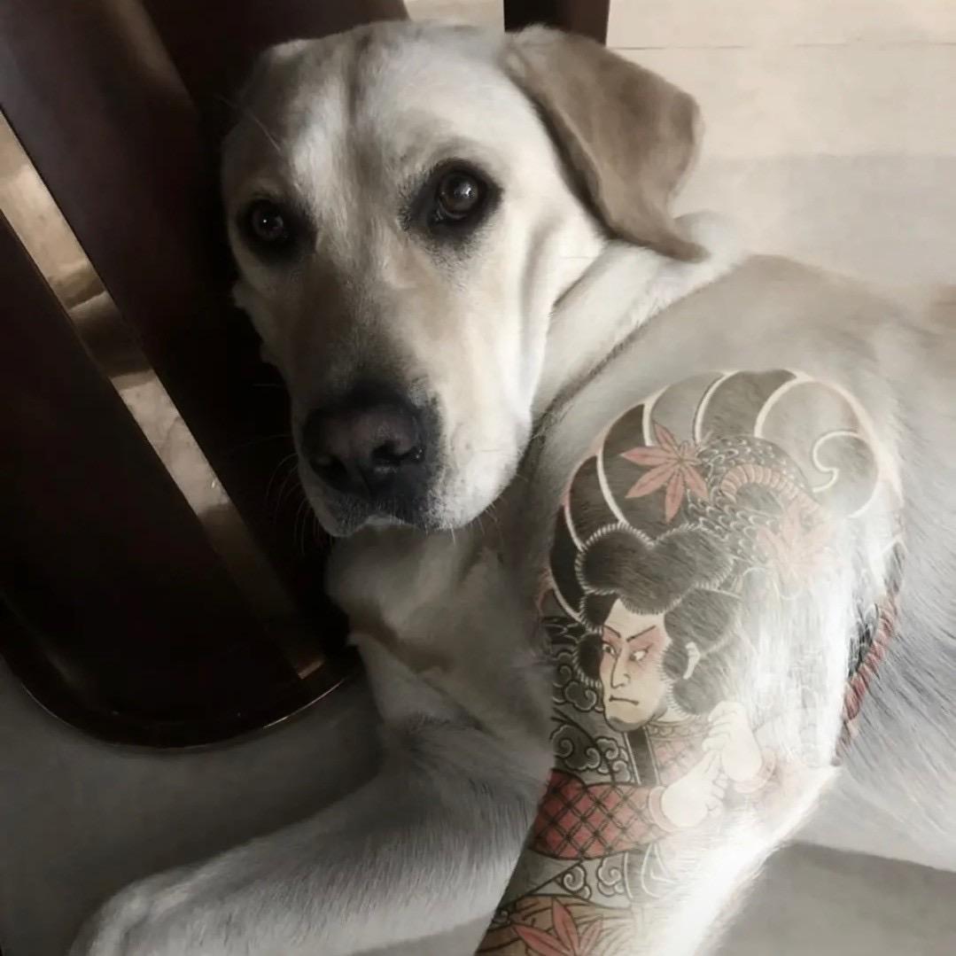 小结巴