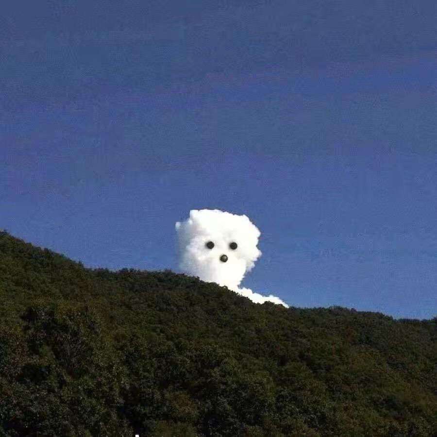 没有什么想取的