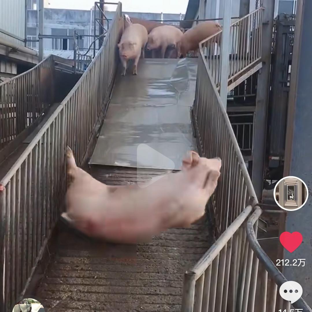 知足常乐