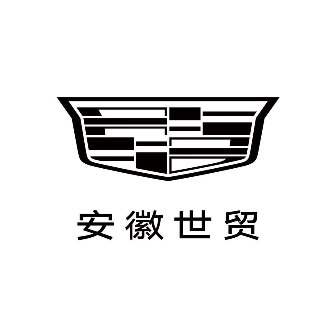 凯迪拉克IQ-安徽世贸（汽车城直营店）
