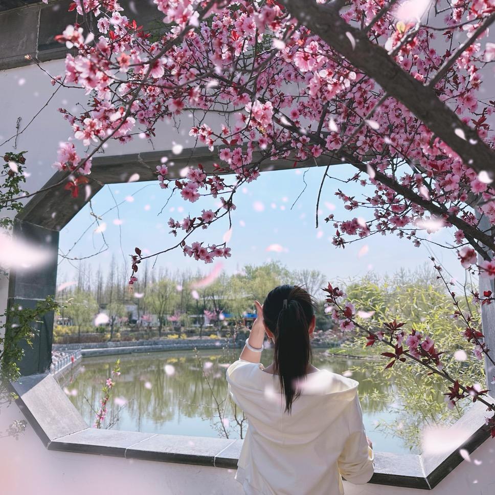 李家二小姐
