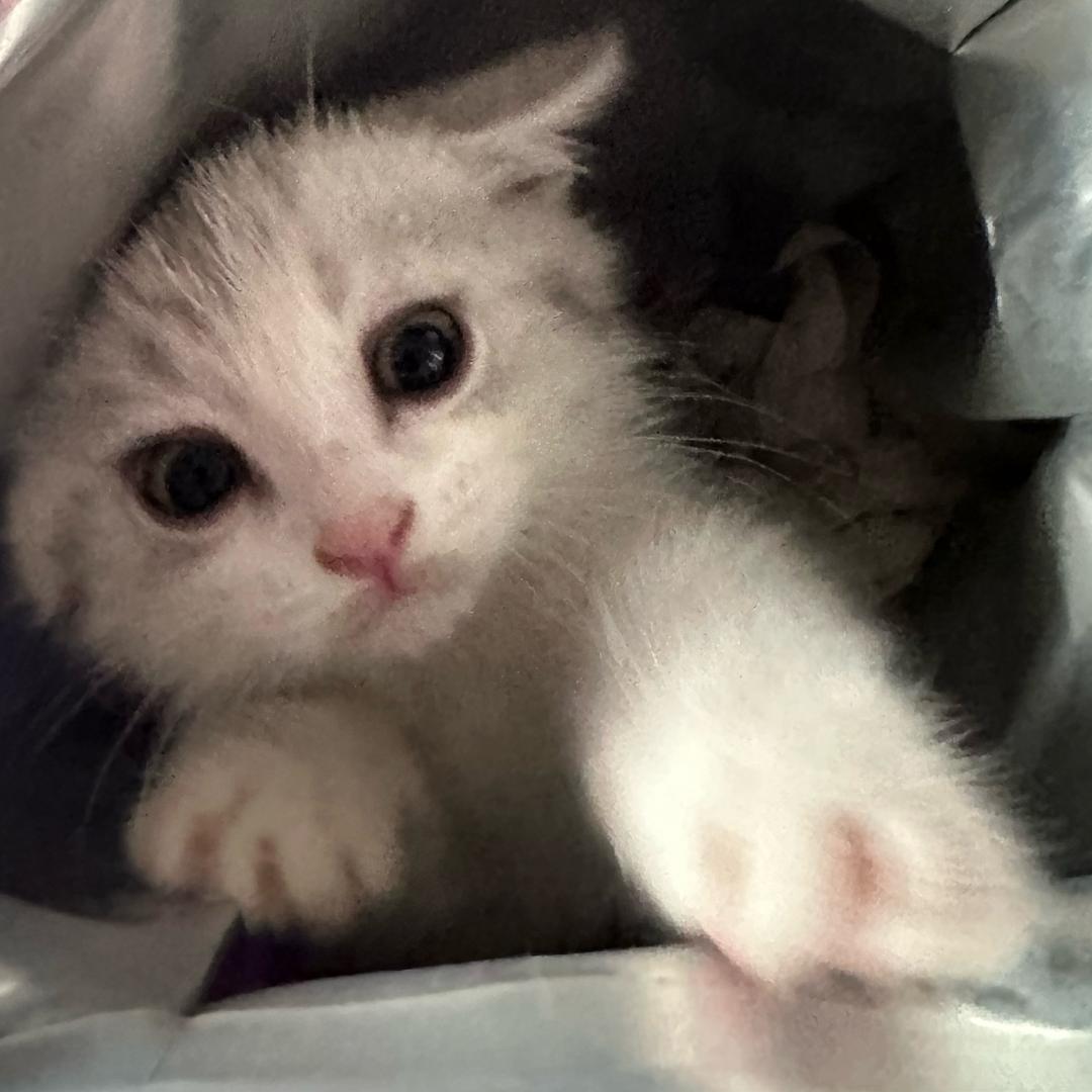 瘪说了不听