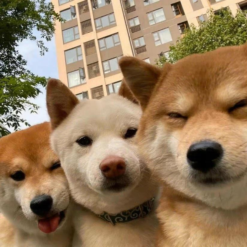 饭开心~