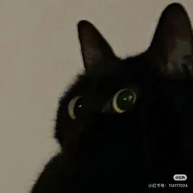 Ma、peng🐴🐴🐴