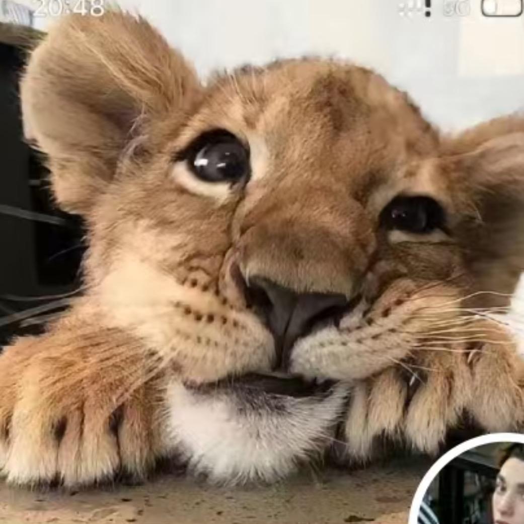 看海.