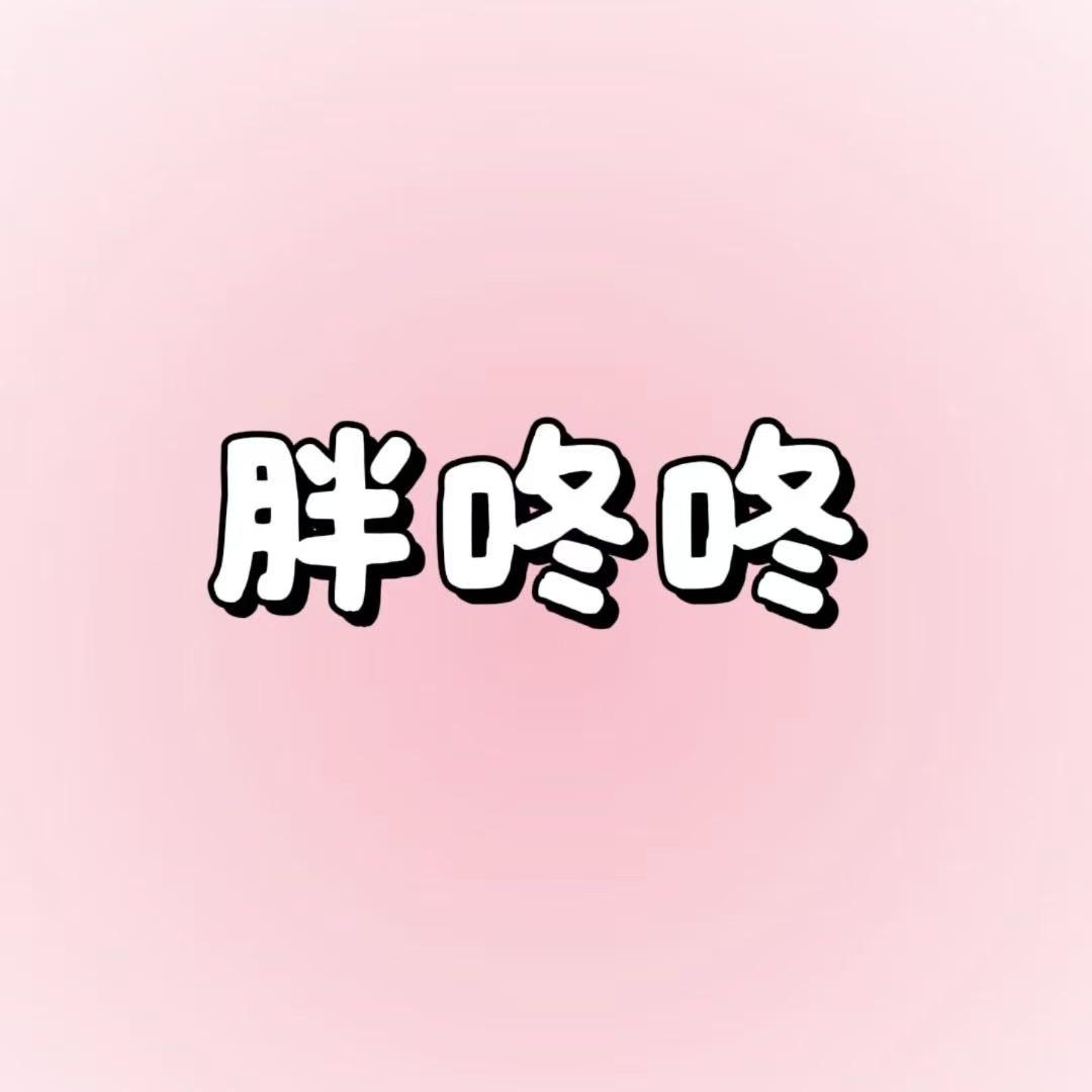 胖咚咚大码女装高密店