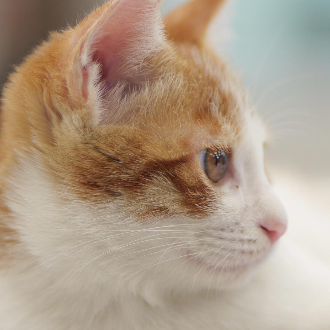 亨昌瑞祥小助手