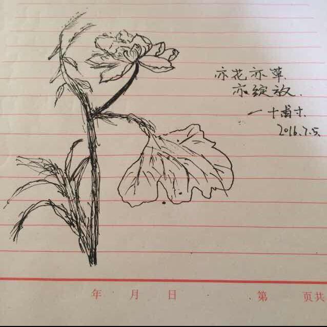 十 甫 寸