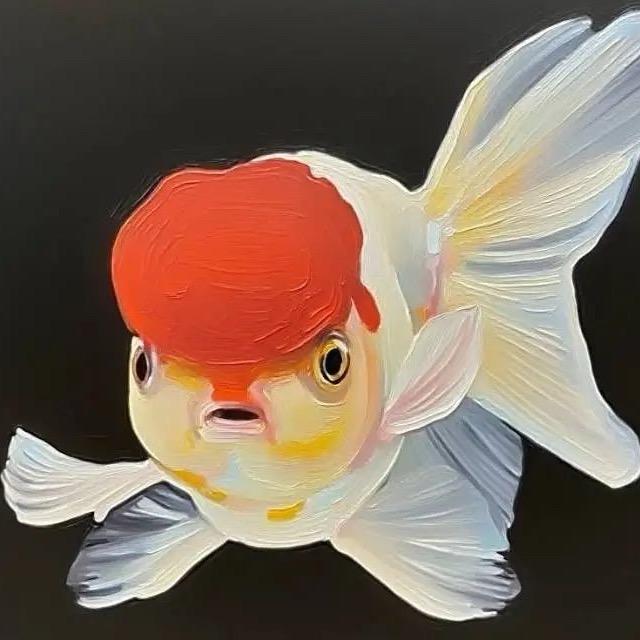 粼粼水族-浮萍