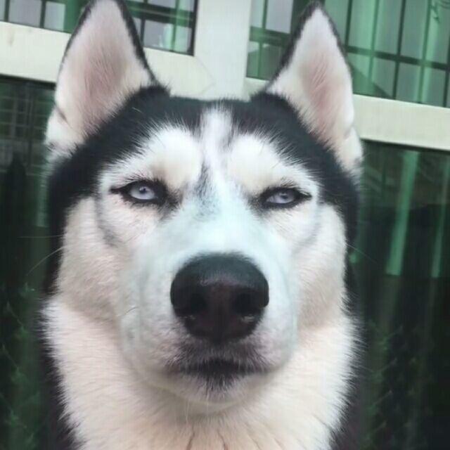 @ 。
