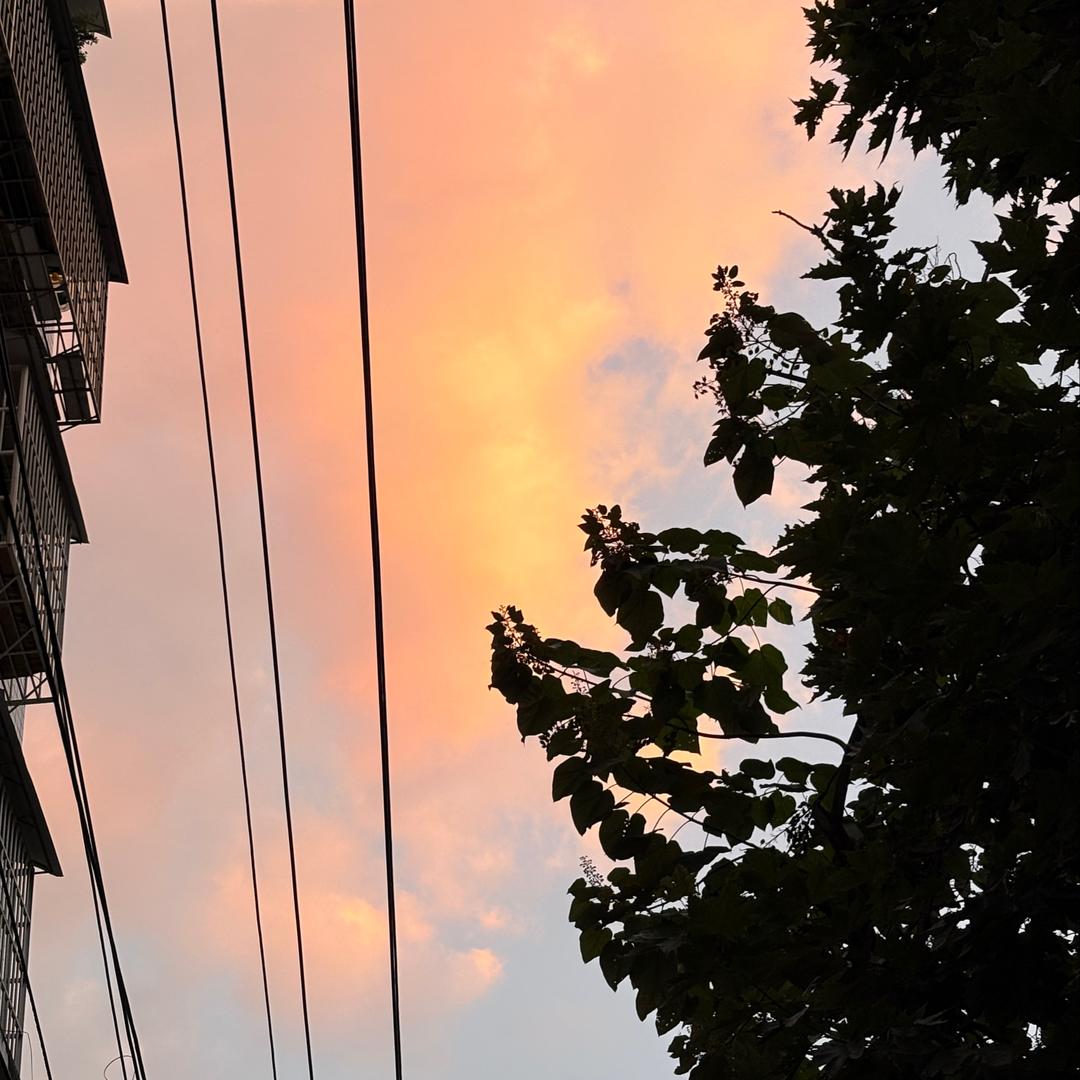 懒羊羊羊羊羊大王