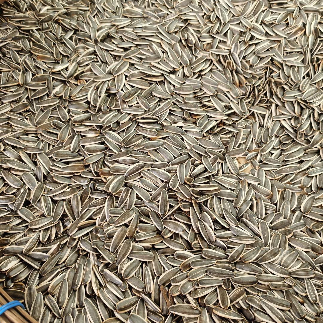 香脆炒货休闲食品