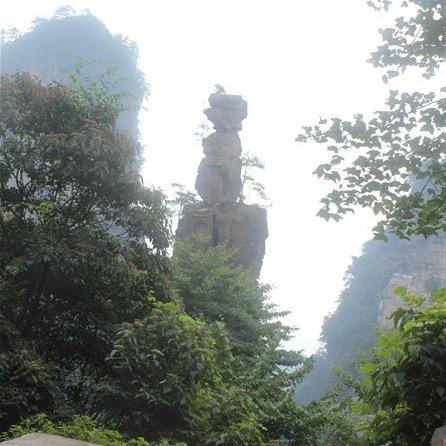 厂长的生活2@抖音