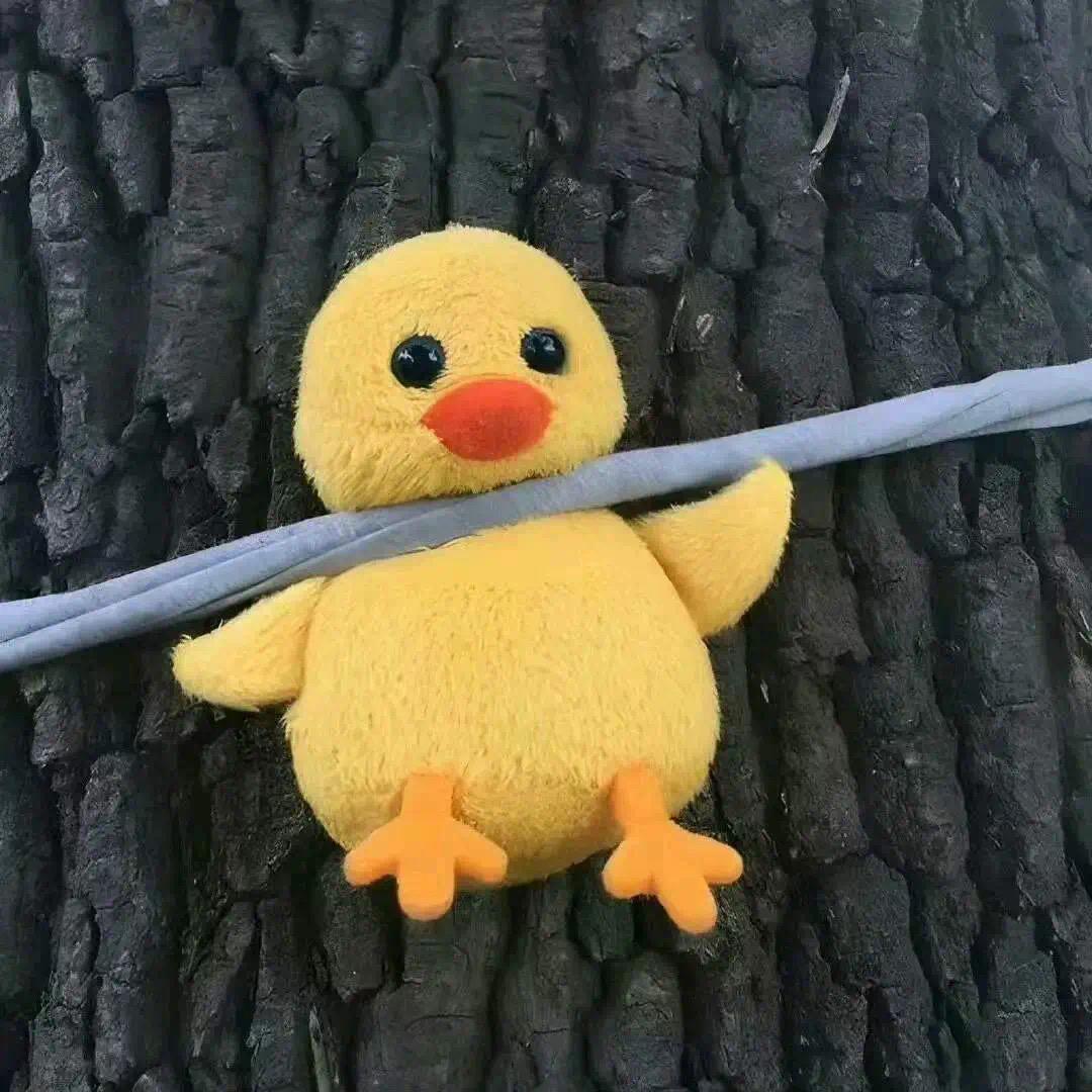 理想佳