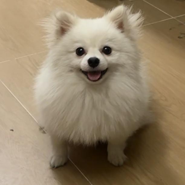 煤炭