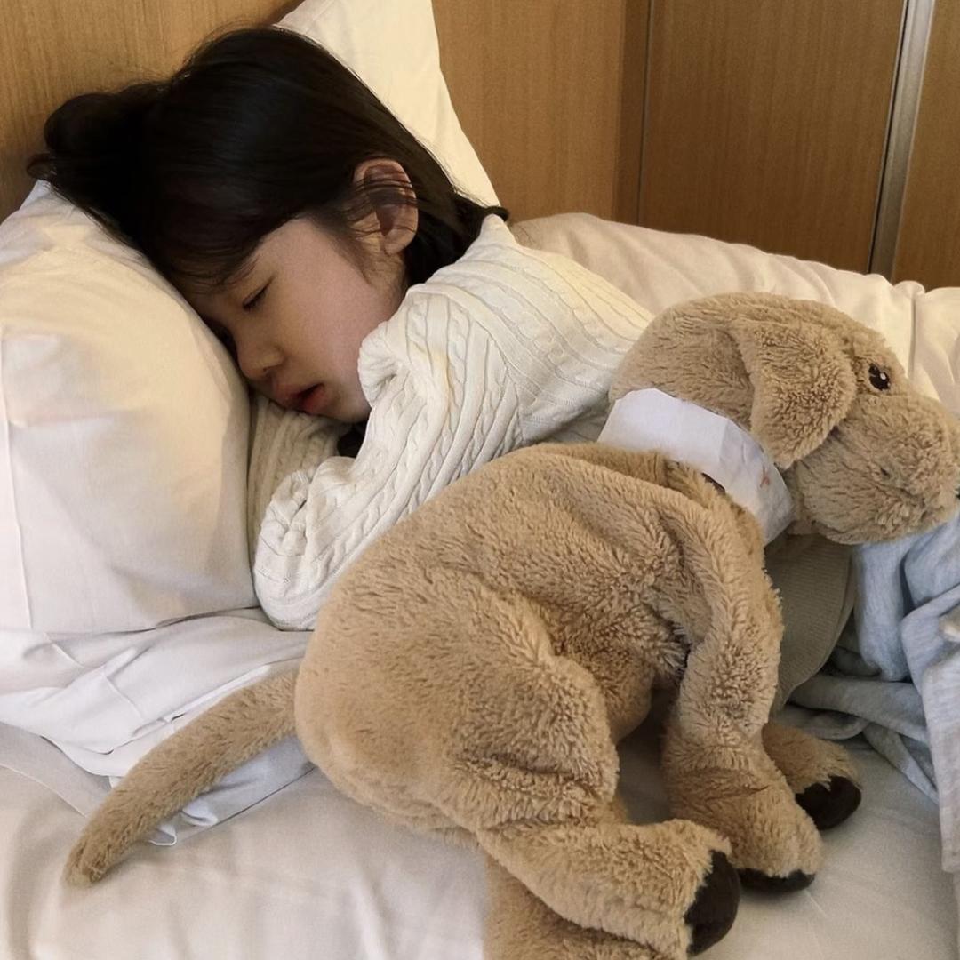 小泰酱ovo