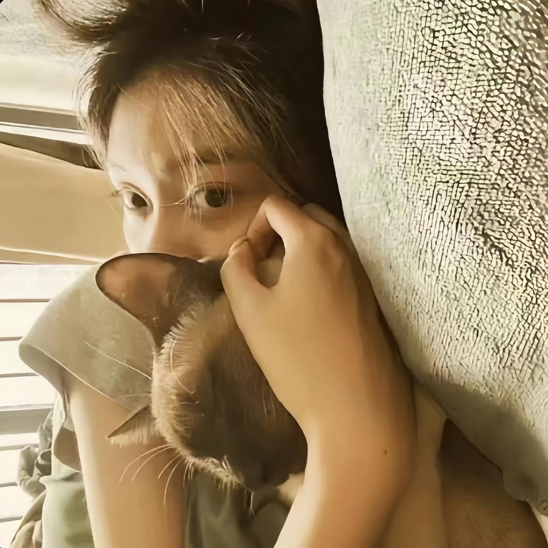 小猫呢