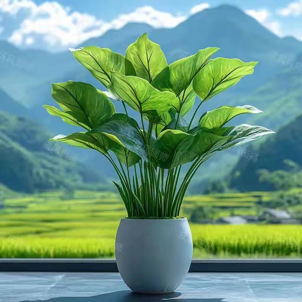 时光里的80故事