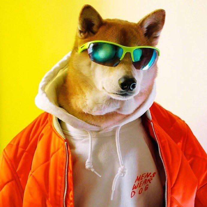 狗蛋儿Gordon