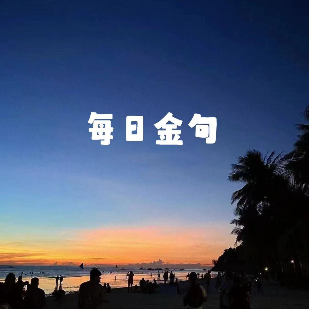 每日金句