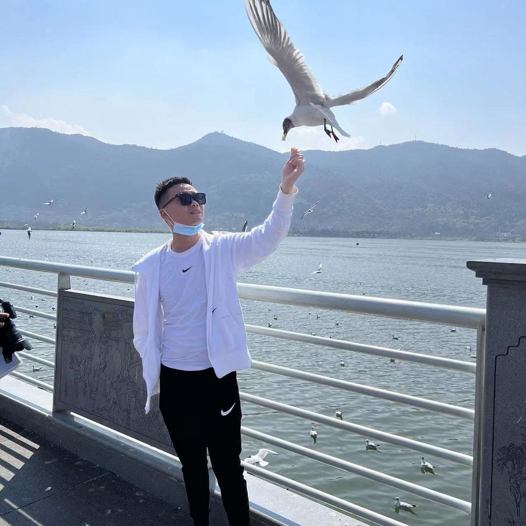 龙行龘龘 前程朤朤