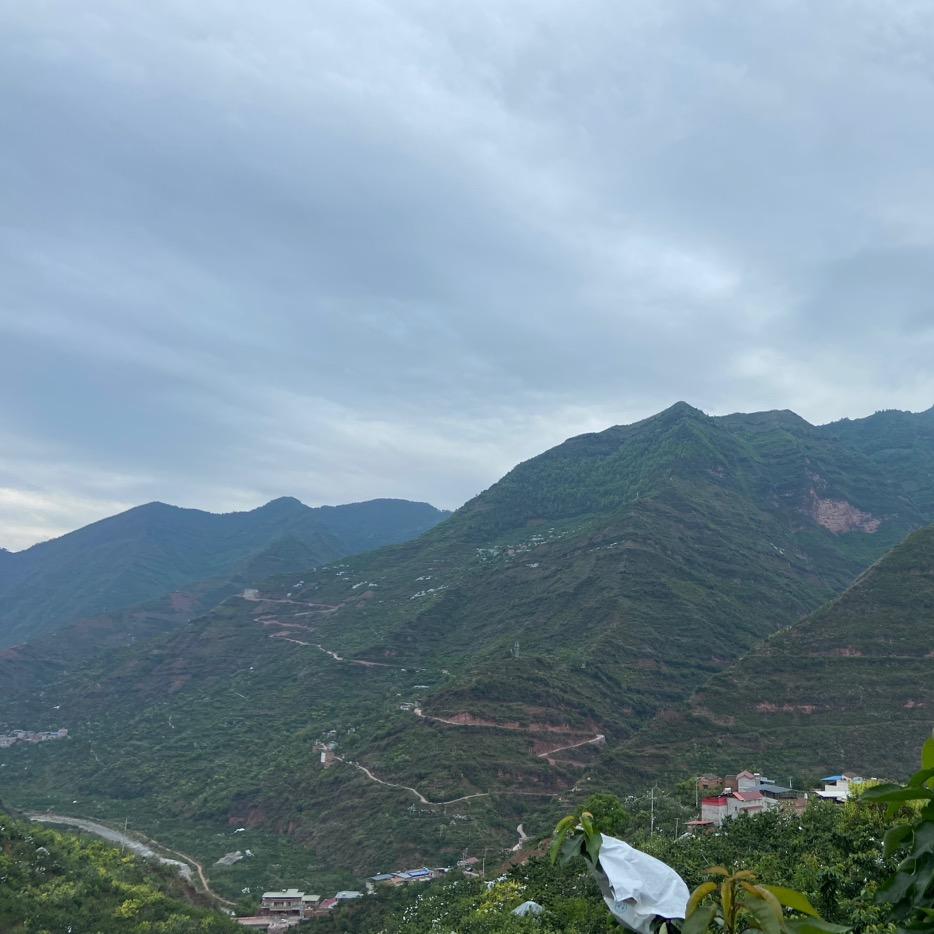 小十榴