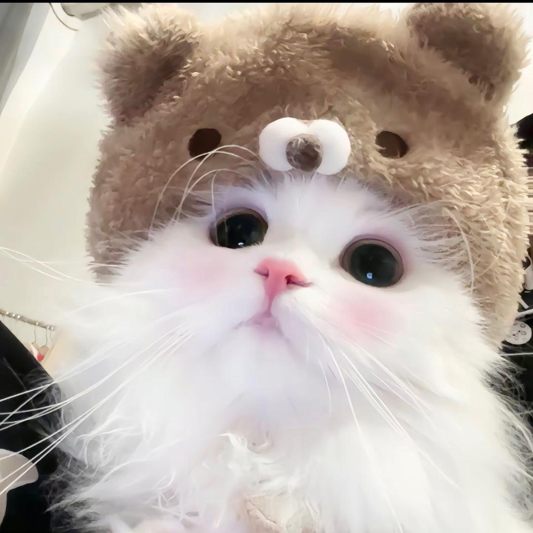 小胡早上好.