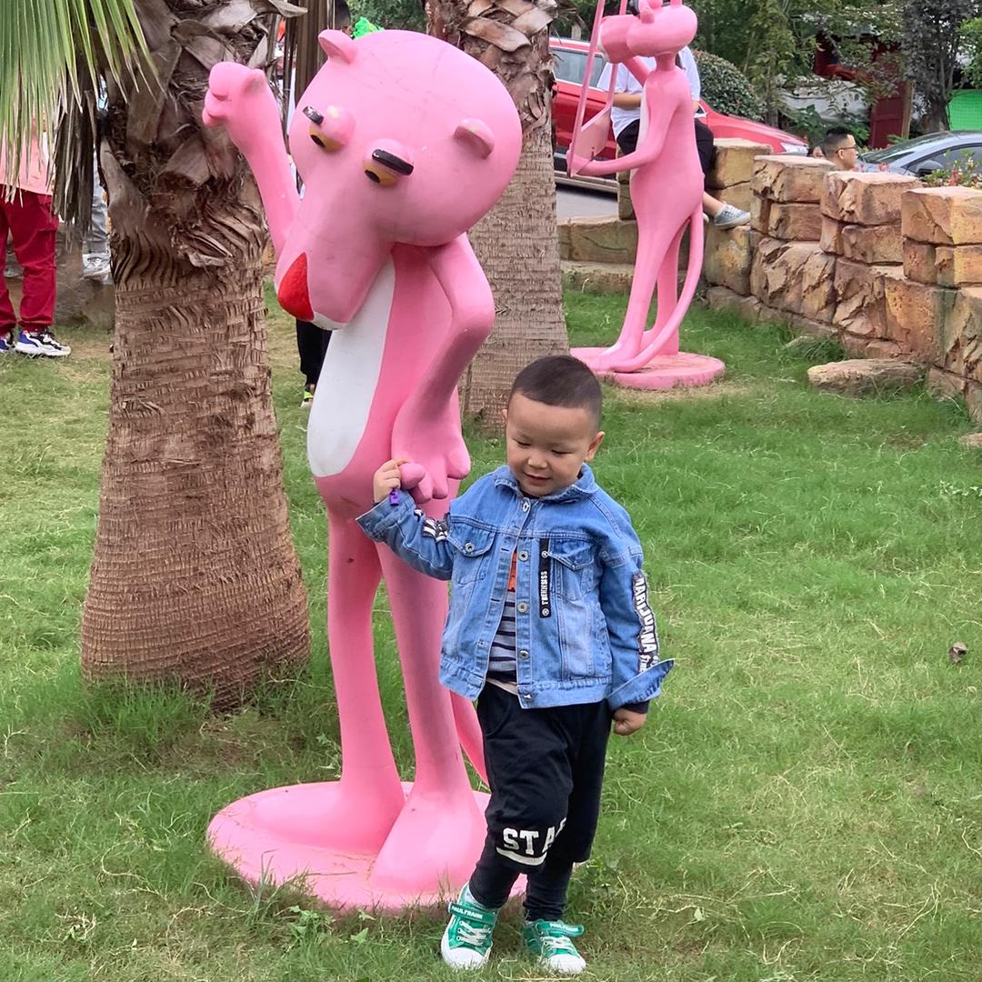 小小叶子是我