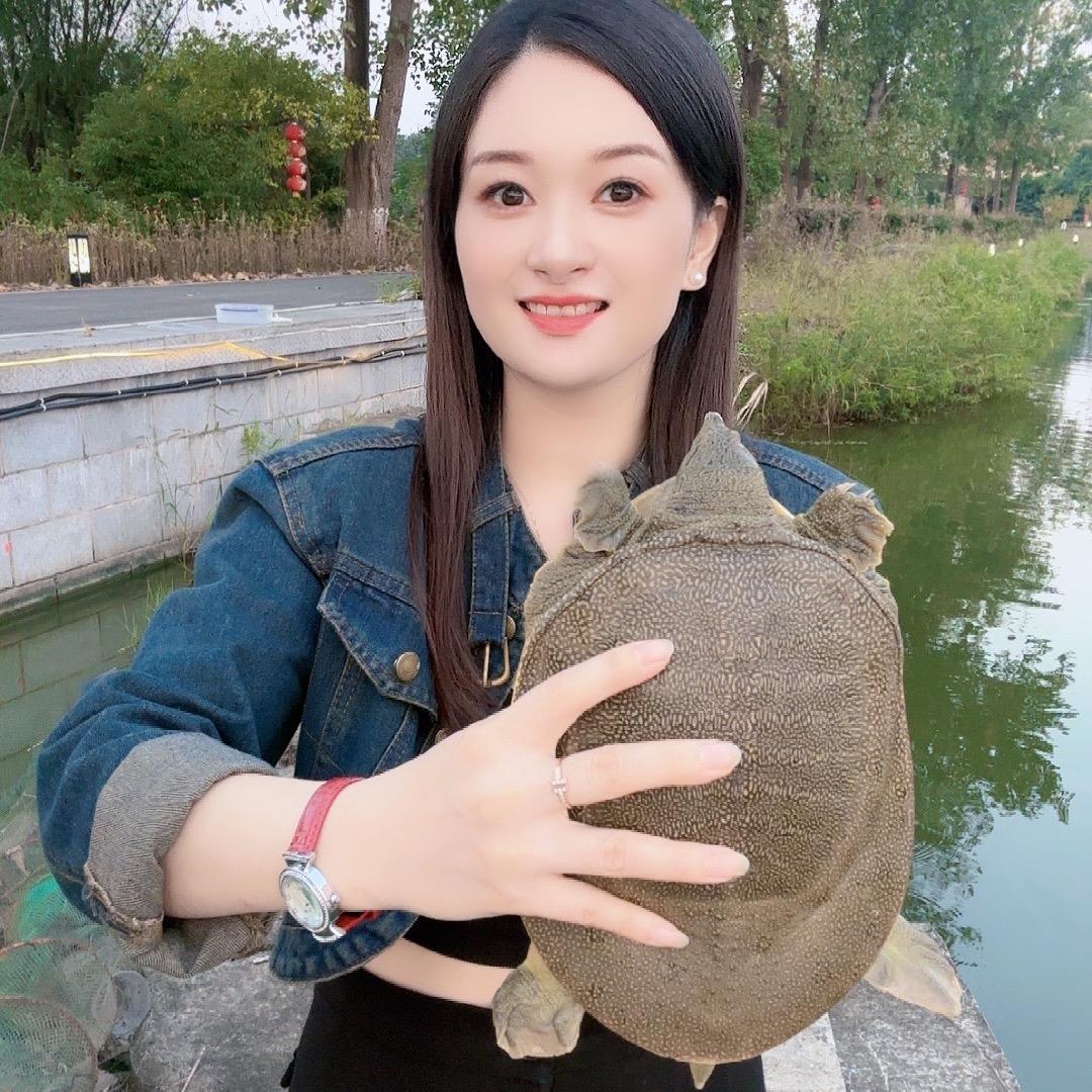 可爱宝贝（外塘甲鱼）