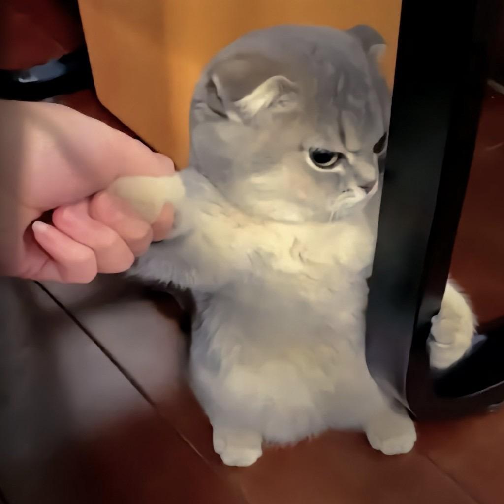 小皇上