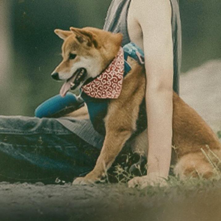 荔知知不知