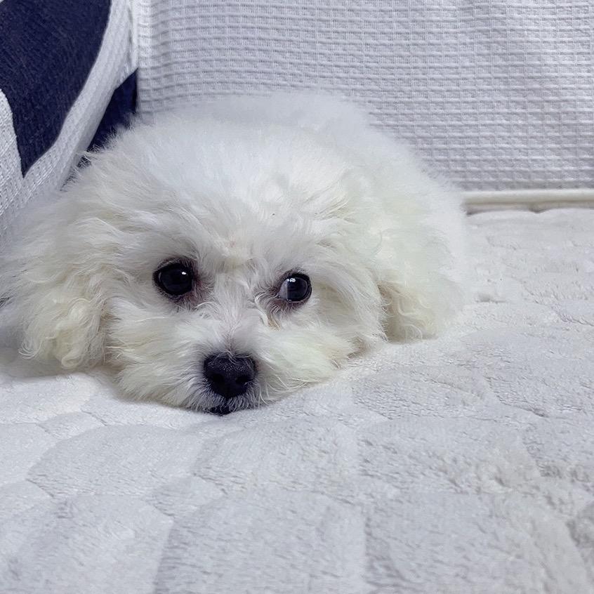 🧚‍♀️🧚‍♀️