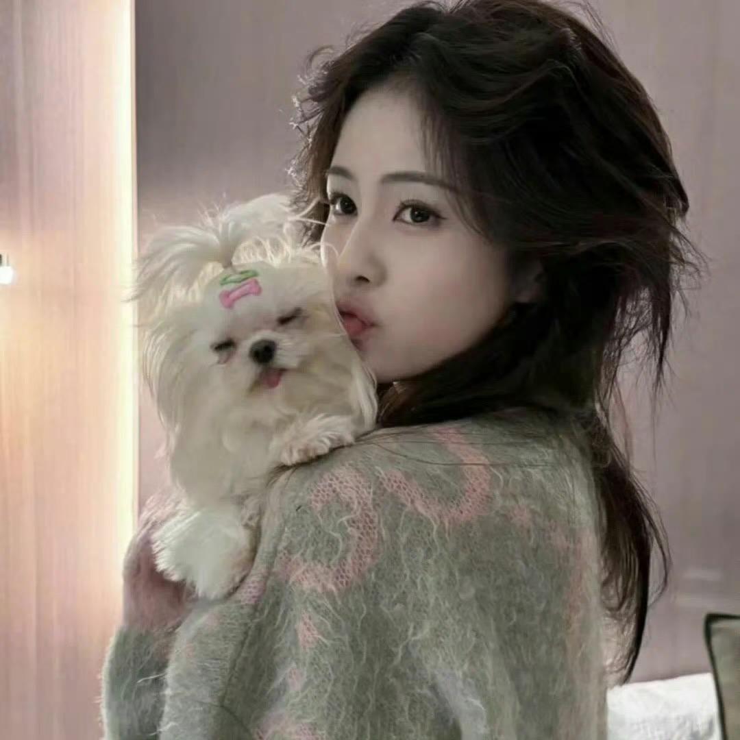 冒险之星-小怪（哲煜）