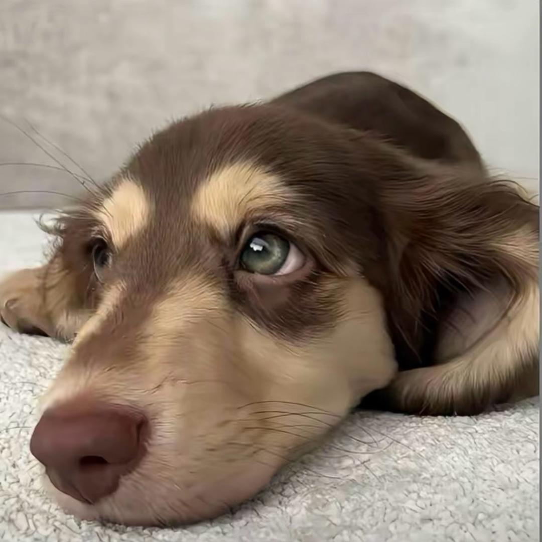 能不能👀这李🍐＠