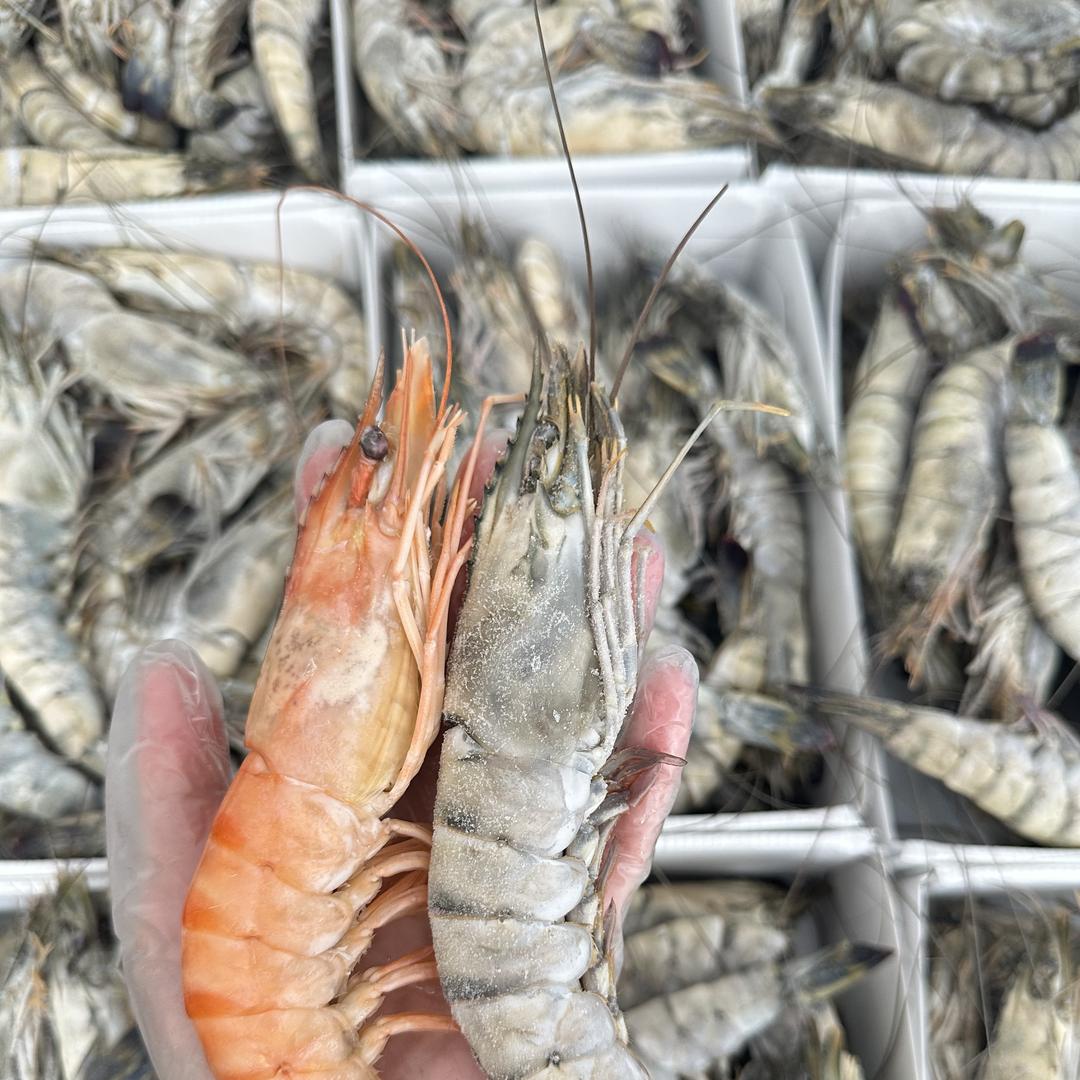 青岛质德海鲜（开海季）